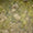 Armband - Image 3
