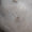 Armband - Image 3