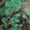 Armband  - Image 6