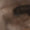 Armband - Image 4