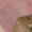 Armband - Image 8