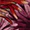 Kleid mit Druck - Image 11