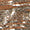 geprägter Gürtel - Image 3