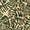 Hose Wide - Image 12