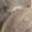 Halskette mit Anhänger - Image 3