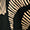 Hose mit Druck - Image 5