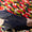 Schal mit Druck - Image 4