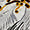 Handschuhe - Image 9