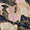 Rock - Image 6
